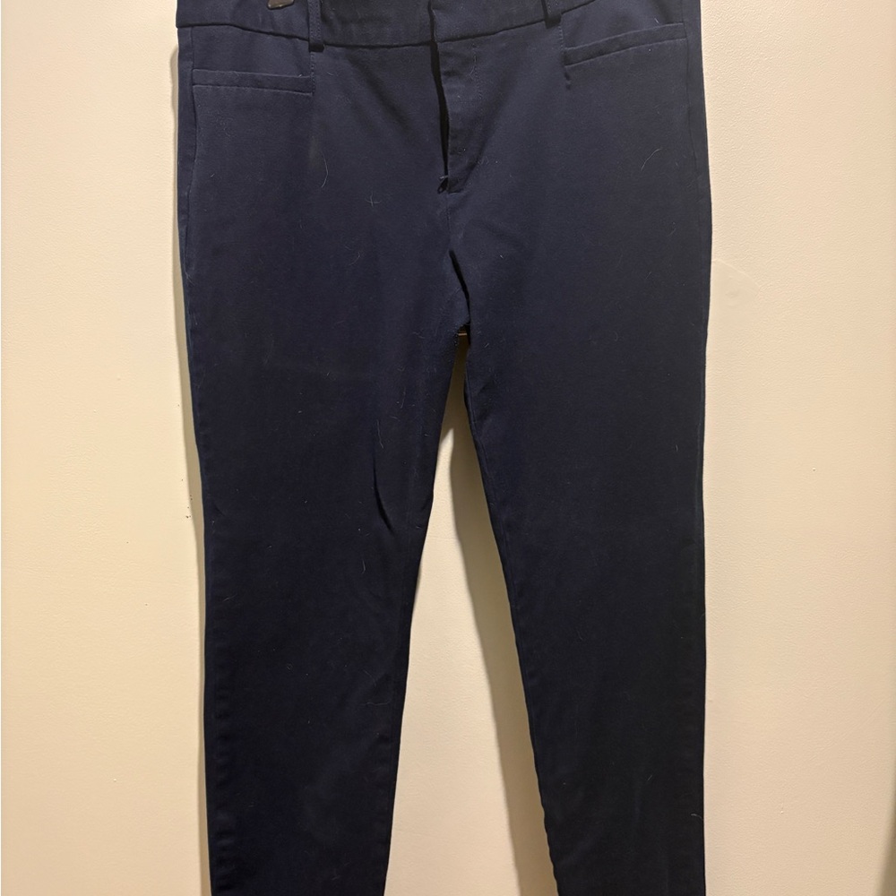 Banana Republic - Sloan Fit Navy Blue Pants